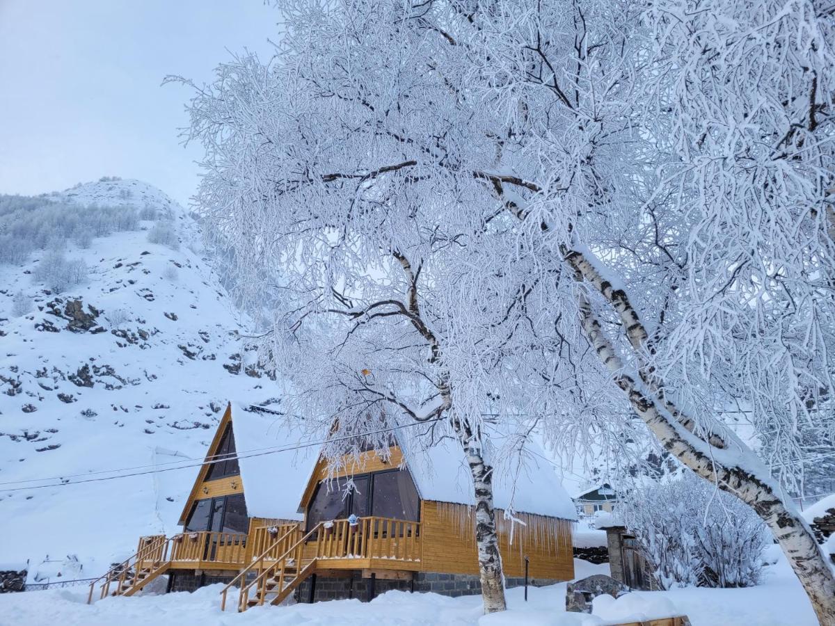 Pine Chalet Kazbegi Exterior photo