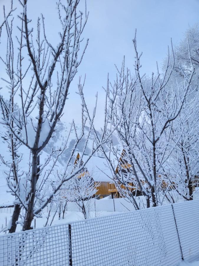 Pine Chalet Kazbegi Exterior photo